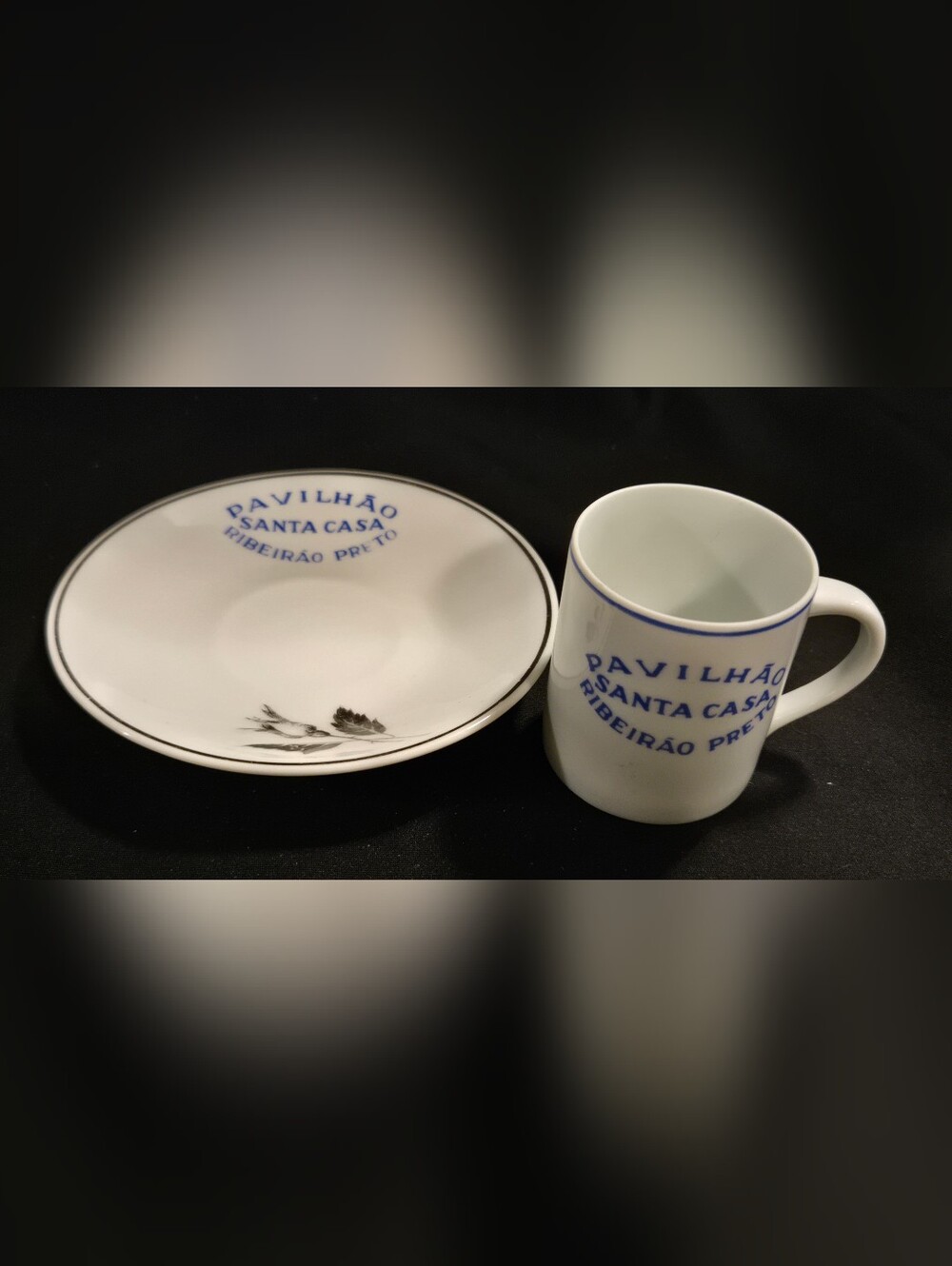 Vintage Brazilian Porcelain Cup And Saucer By Schmidt